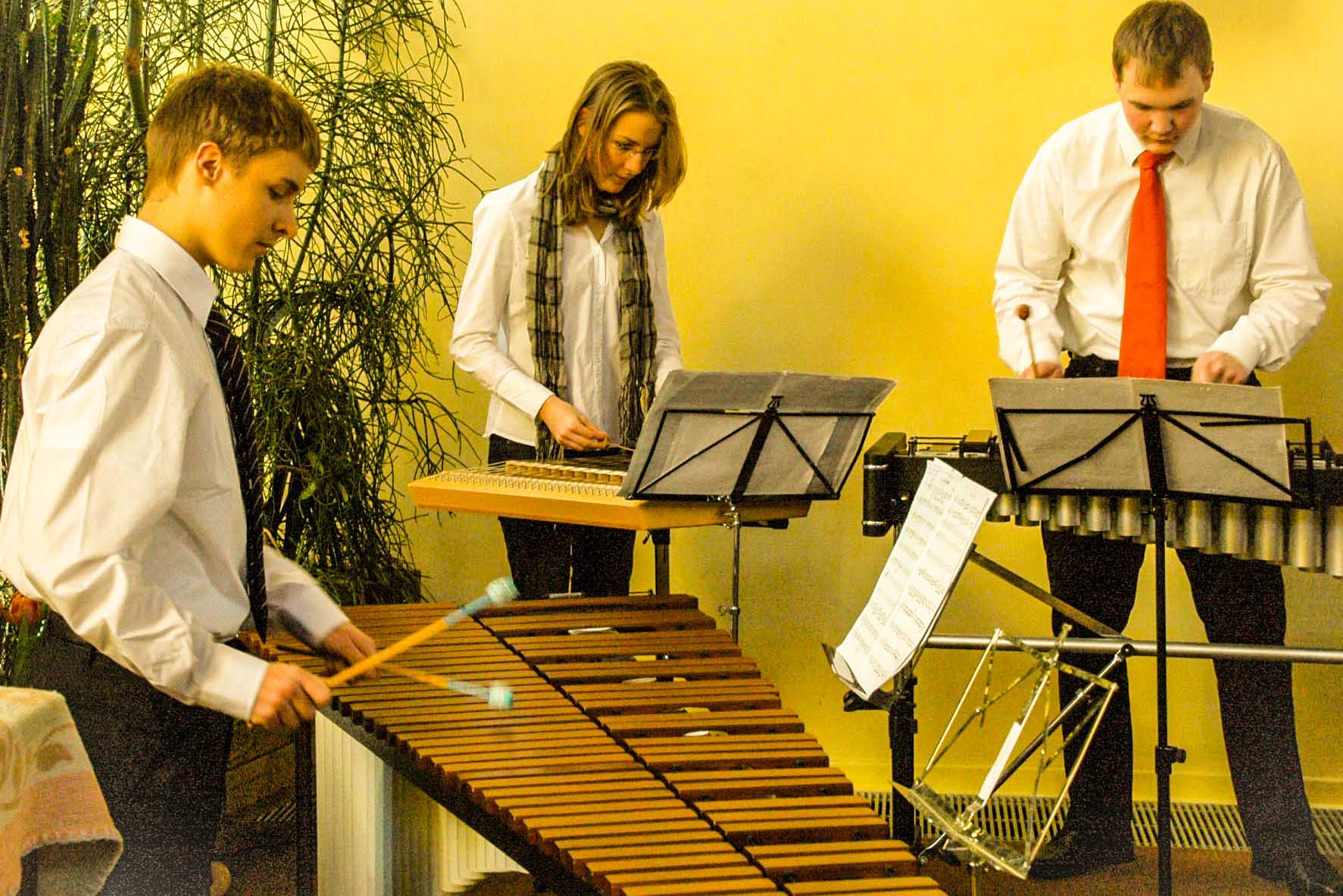 Amandi Musikschule