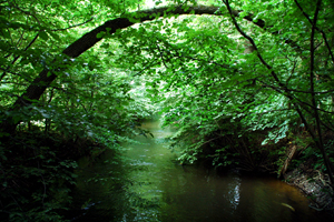 Pasing im W&uuml;rmtal